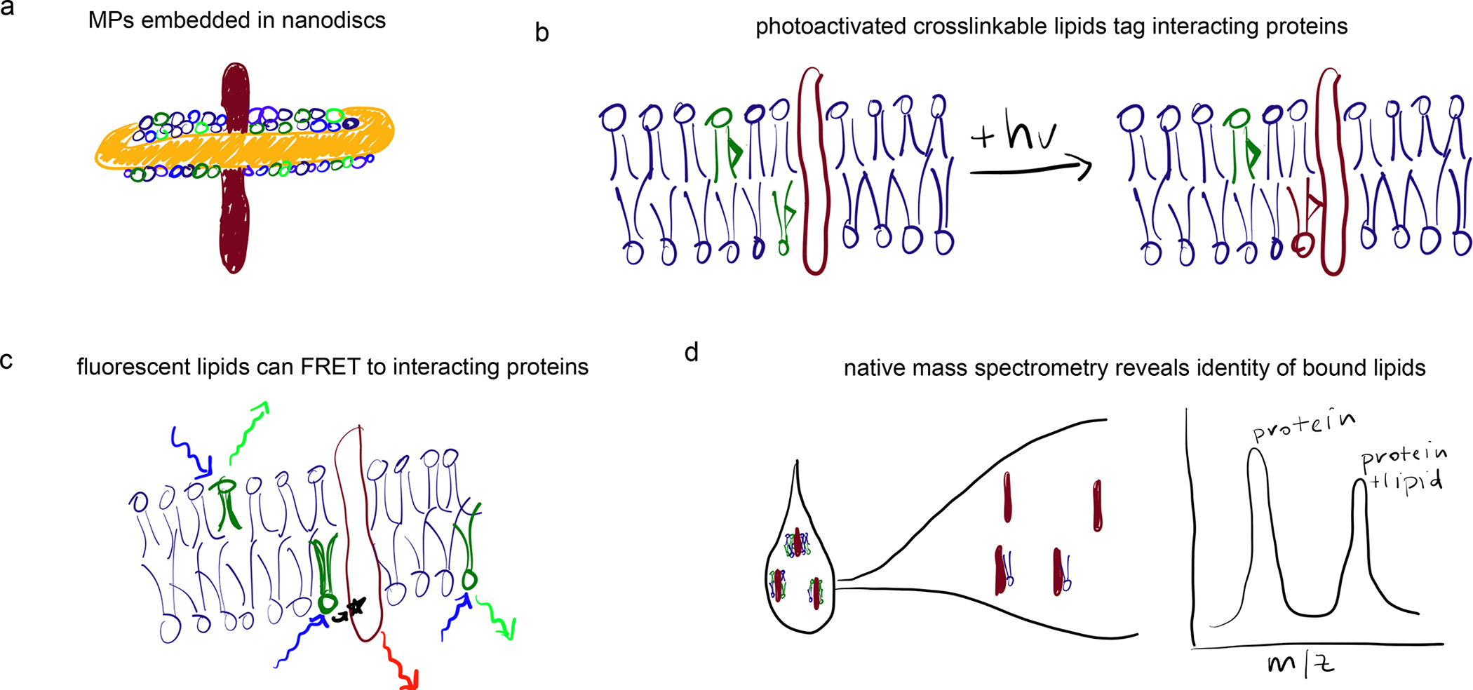 Figure 4.