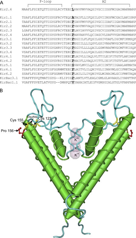 FIGURE 11.