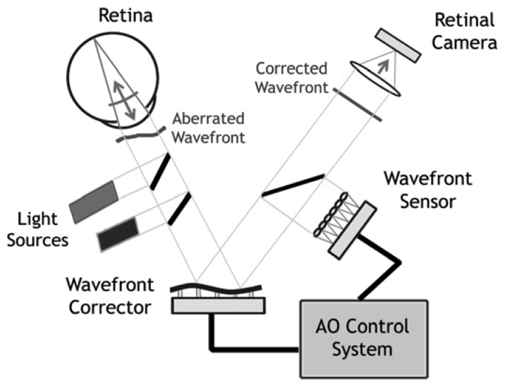 Figure 2.