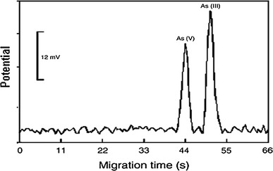 Fig. 5
