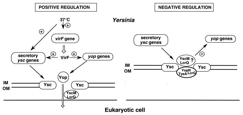 FIG. 11