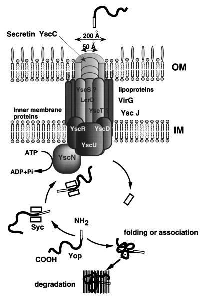 FIG. 7