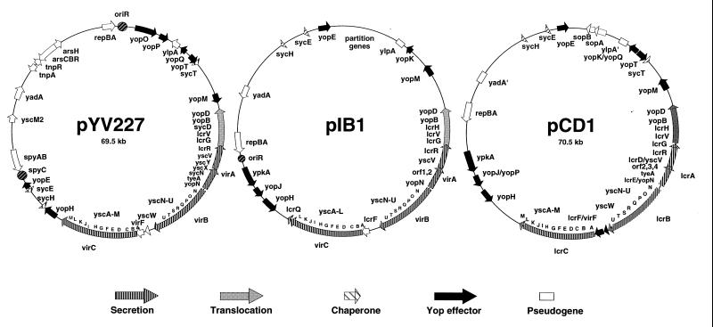 FIG. 3