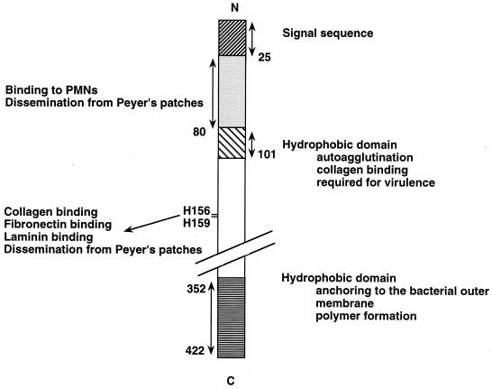 FIG. 10