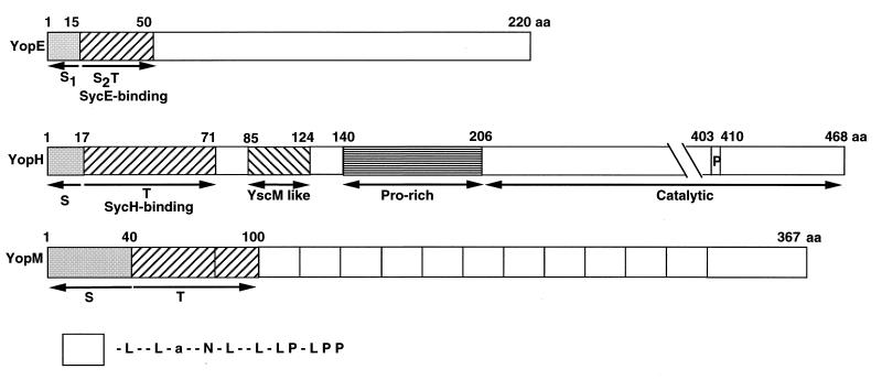 FIG. 8