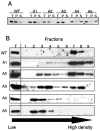 FIG. 9.