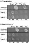 FIG. 2.