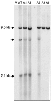 FIG. 4.