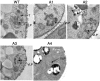 FIG. 10.
