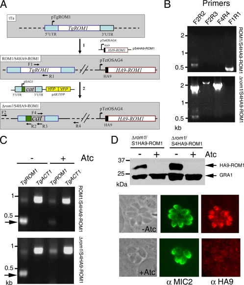 FIG. 4.