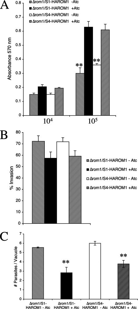 FIG. 6.