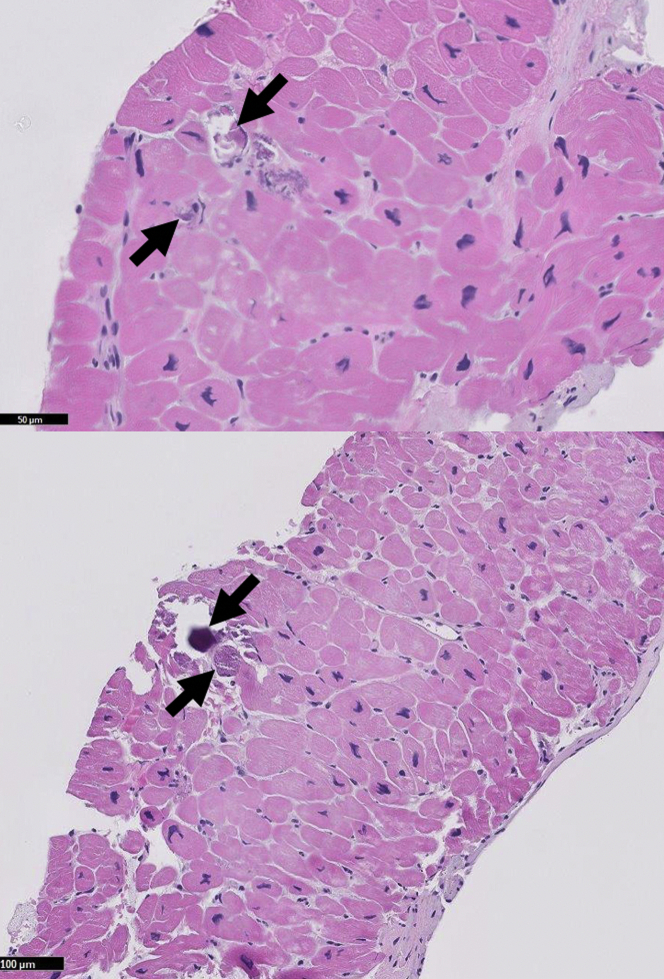 Figure 5