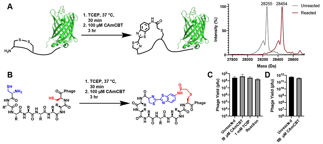 Figure 2: