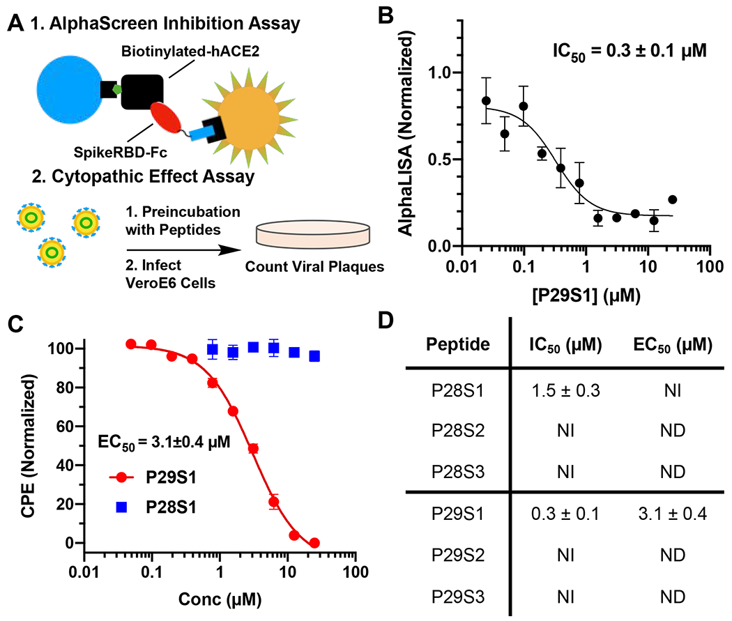 Figure 4: