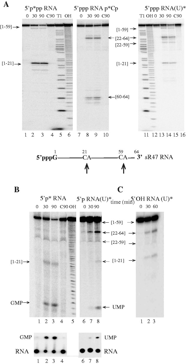 Figure 4.