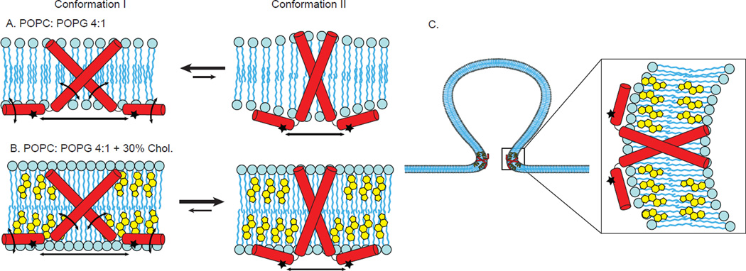 Figure 8