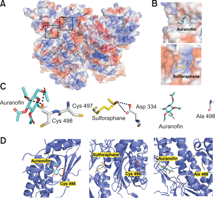 Fig. 10