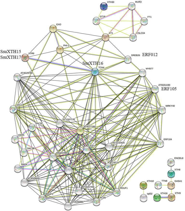 Figure 6