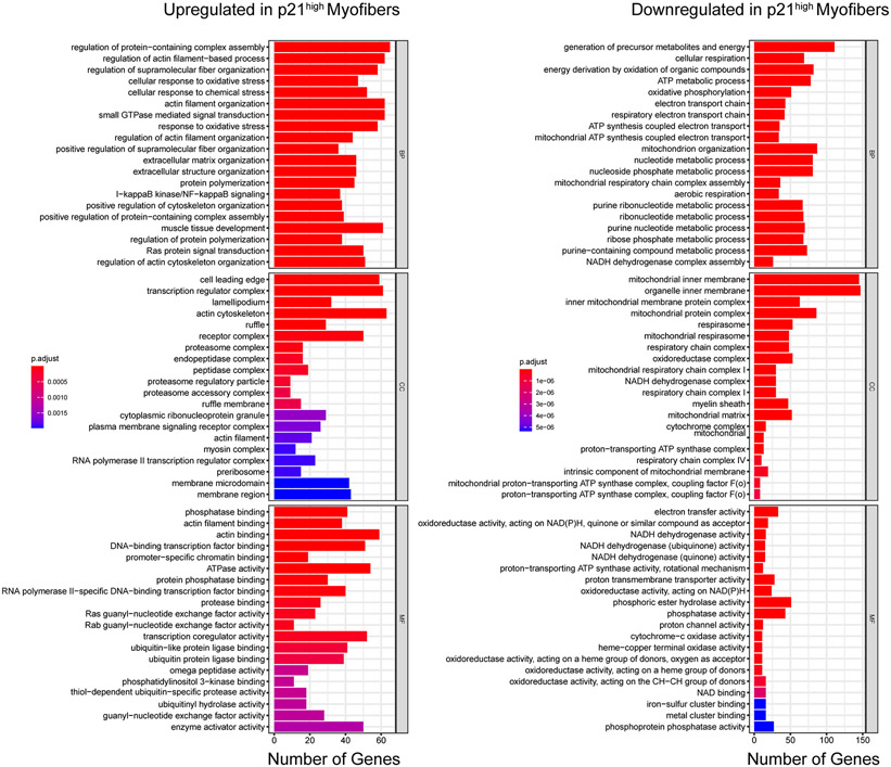 Extended Data Fig. 5.