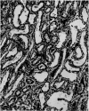 120-1