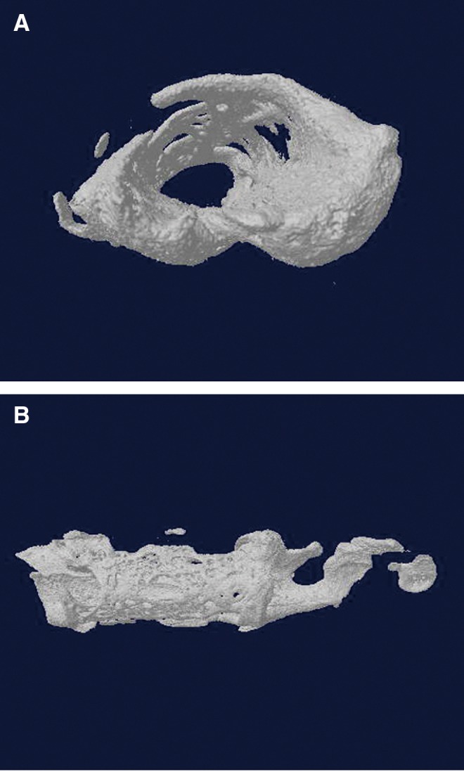 FIG. 9.