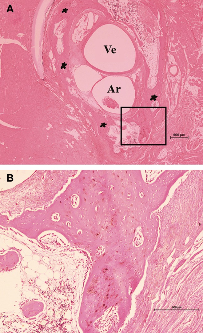 FIG. 10.