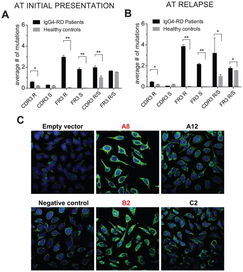 Fig 6