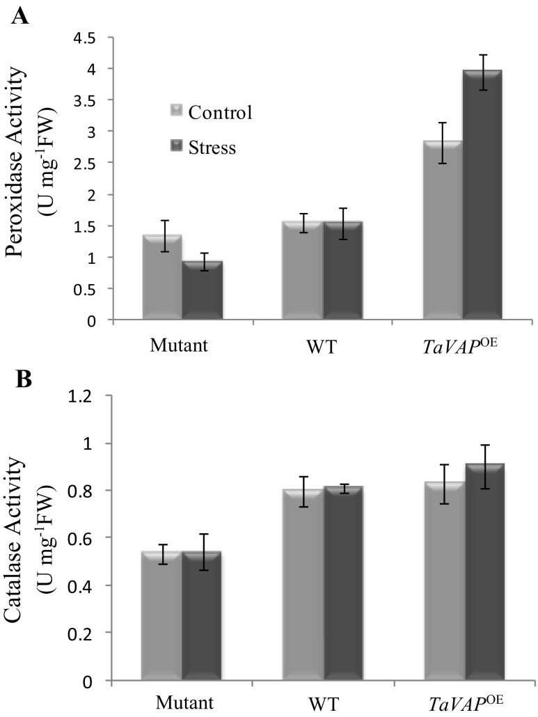 Fig. 11