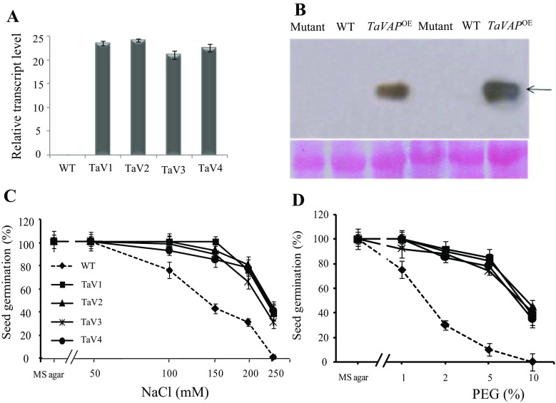 Fig. 4