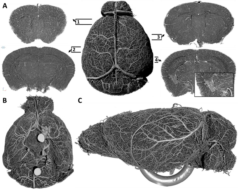 Figure 1: