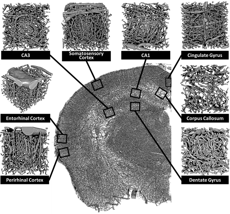 Figure 5: