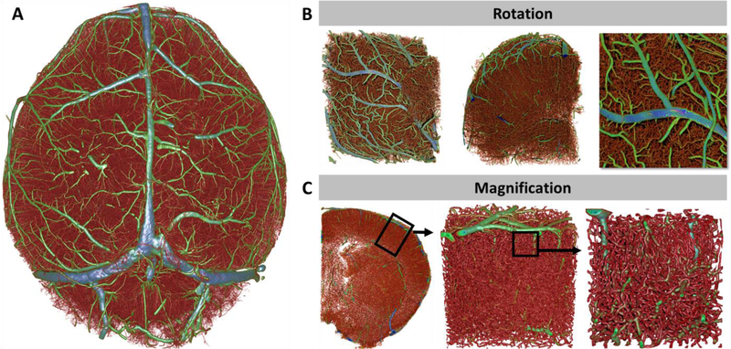 Figure 3: