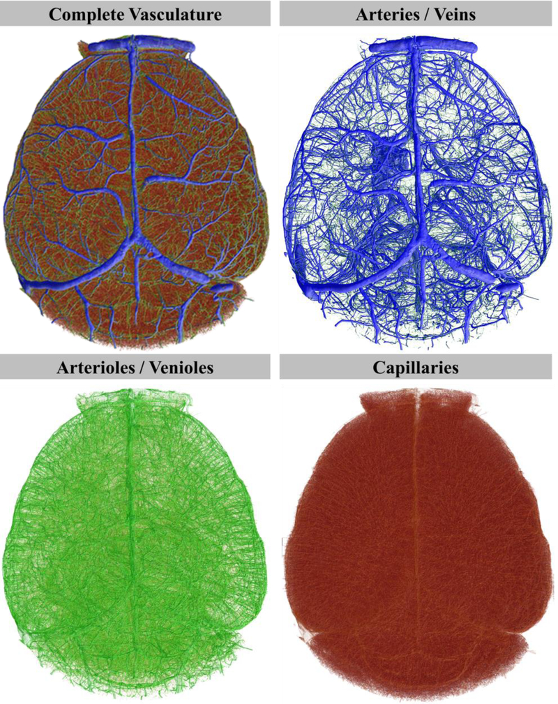 Figure 2: