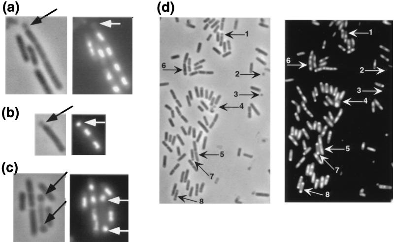 FIG. 6