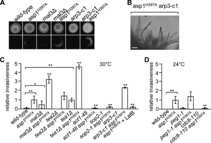 FIG. 6.