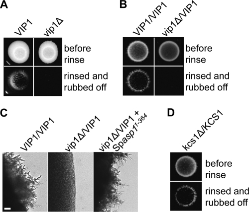 FIG. 9.