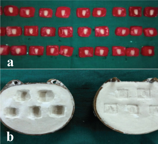 [Table/Fig-1]: