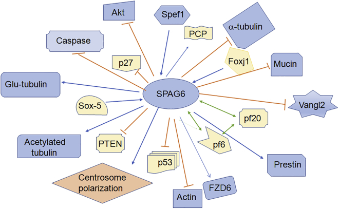 Figure 3