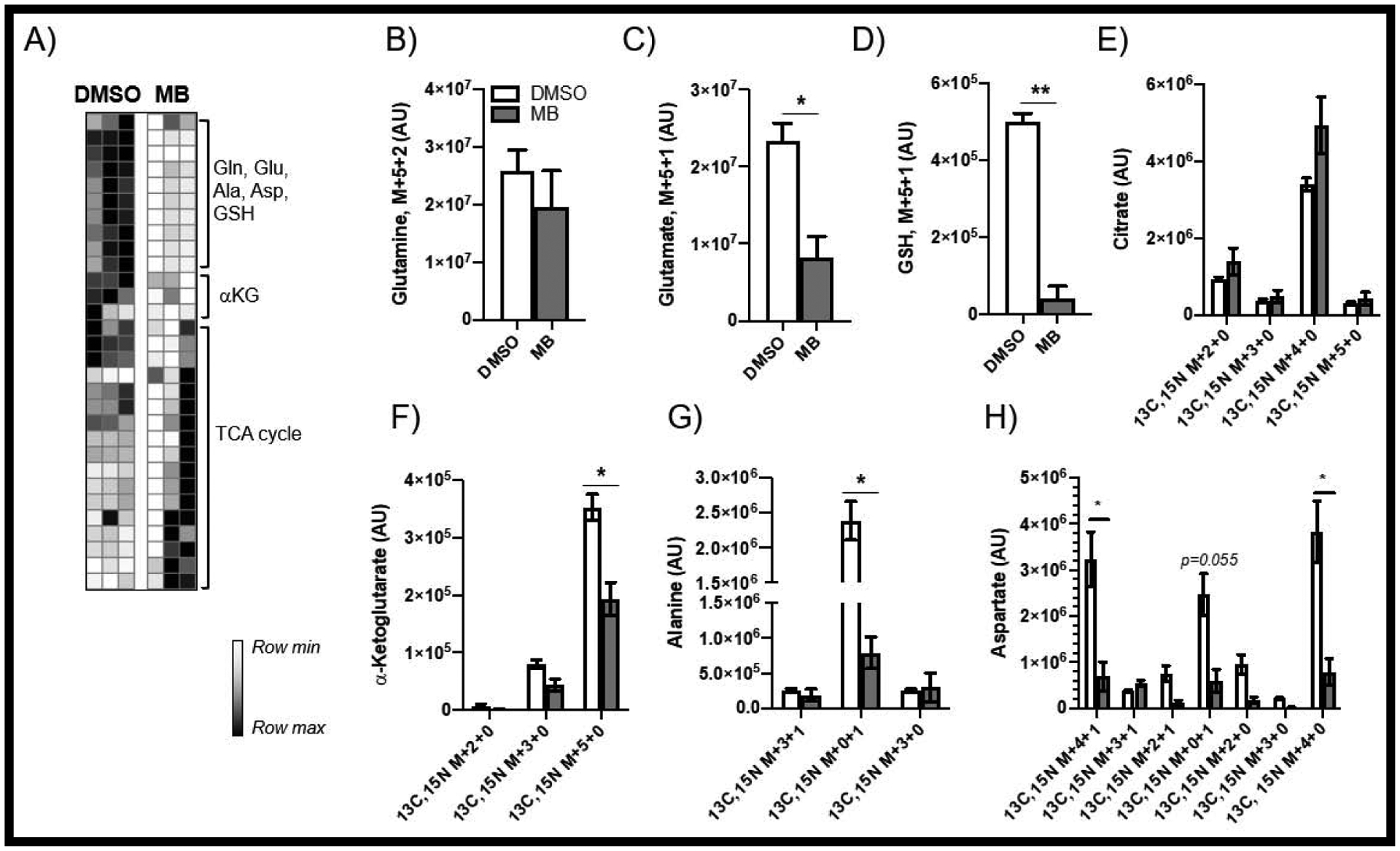 FIGURE 7: