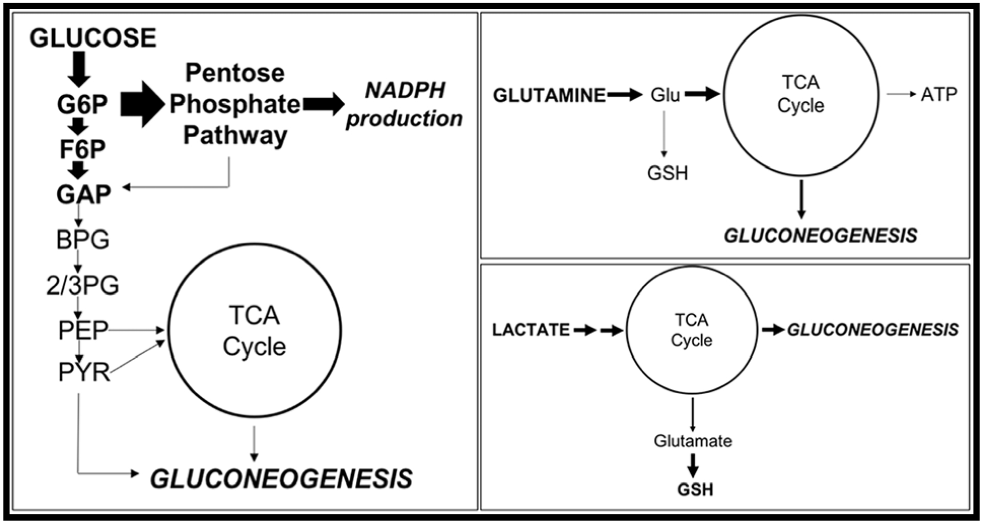 FIGURE 10: