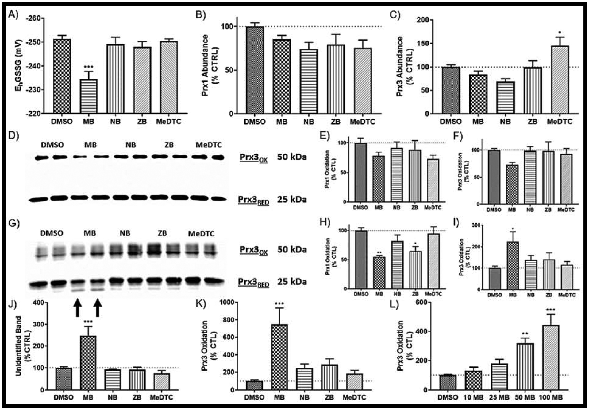 FIGURE 3: