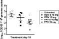 Figure 7—figure supplement 1.