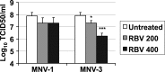 Figure 3—figure supplement 1.