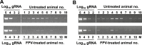 Figure 6—figure supplement 1.