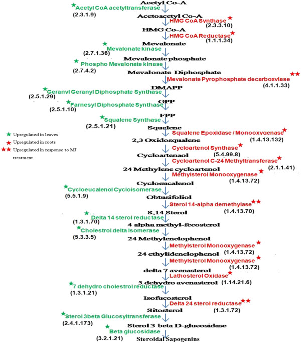 Figure 6