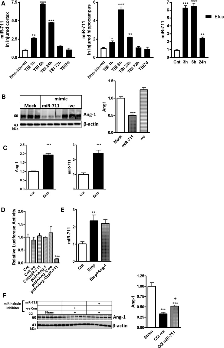 FIG. 7.