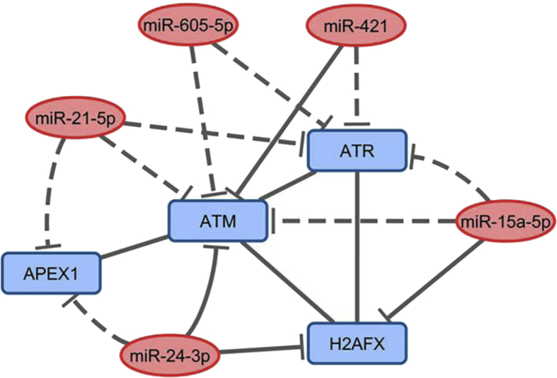 Figure 5