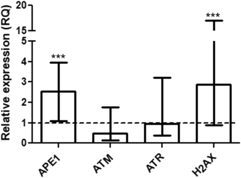 Figure 1