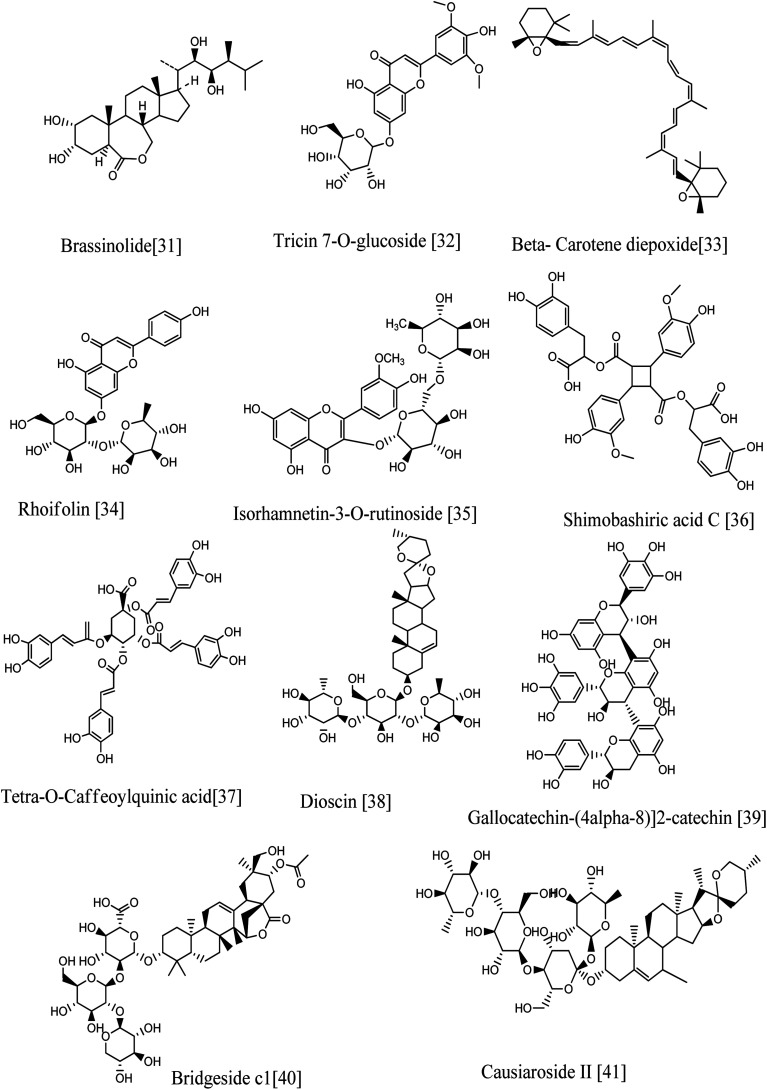 Fig. 9