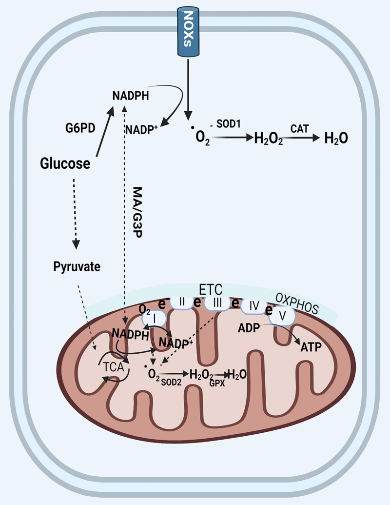 Figure 1.